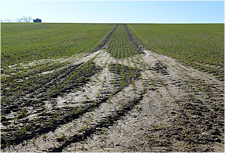 Les pratiques agricoles