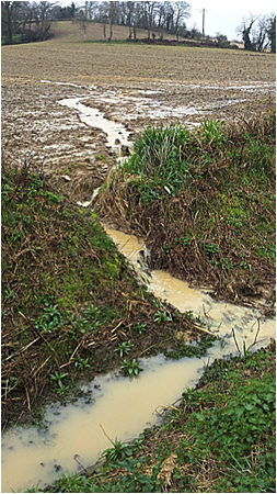 les éléments de paysage