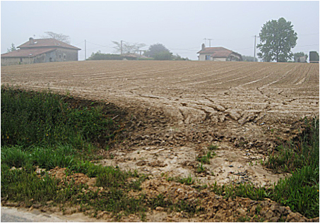 Les pratiques agricoles