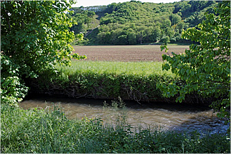 Bande enherbée